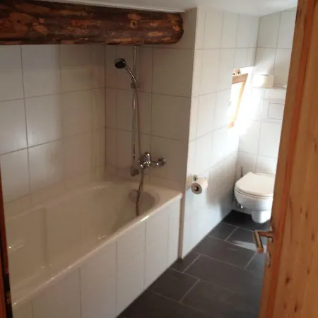 Apartment Casa Nolens, Via Sura 4 Laax